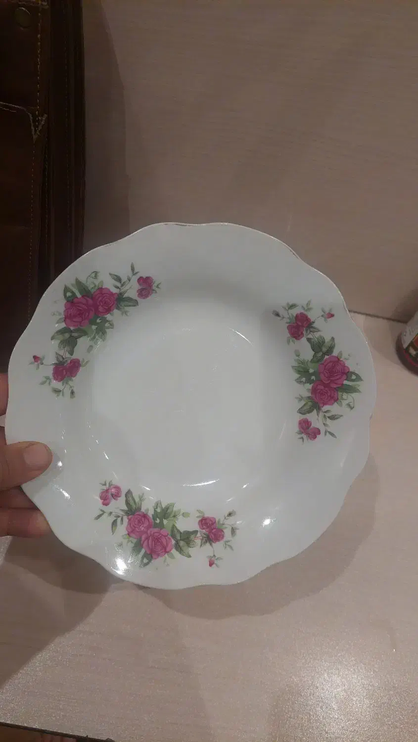 بشقاب چینی خورشت خوری گل سرخی|ظروف سرو و پذیرایی|شیراز, تلخ داش|دیوار