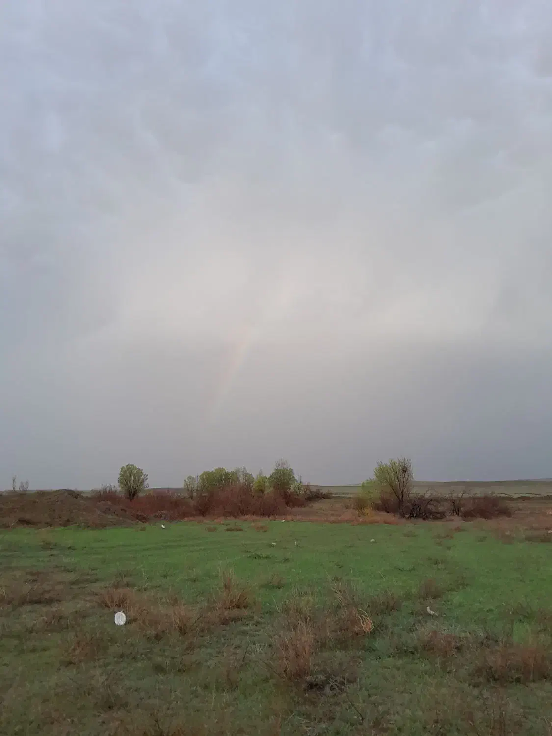 اجاره چاه اب همراه با ۴ هکتار زمین|اجارهٔ دفتر صنعتی، کشاورزی، تجاری|کوراییم, |دیوار