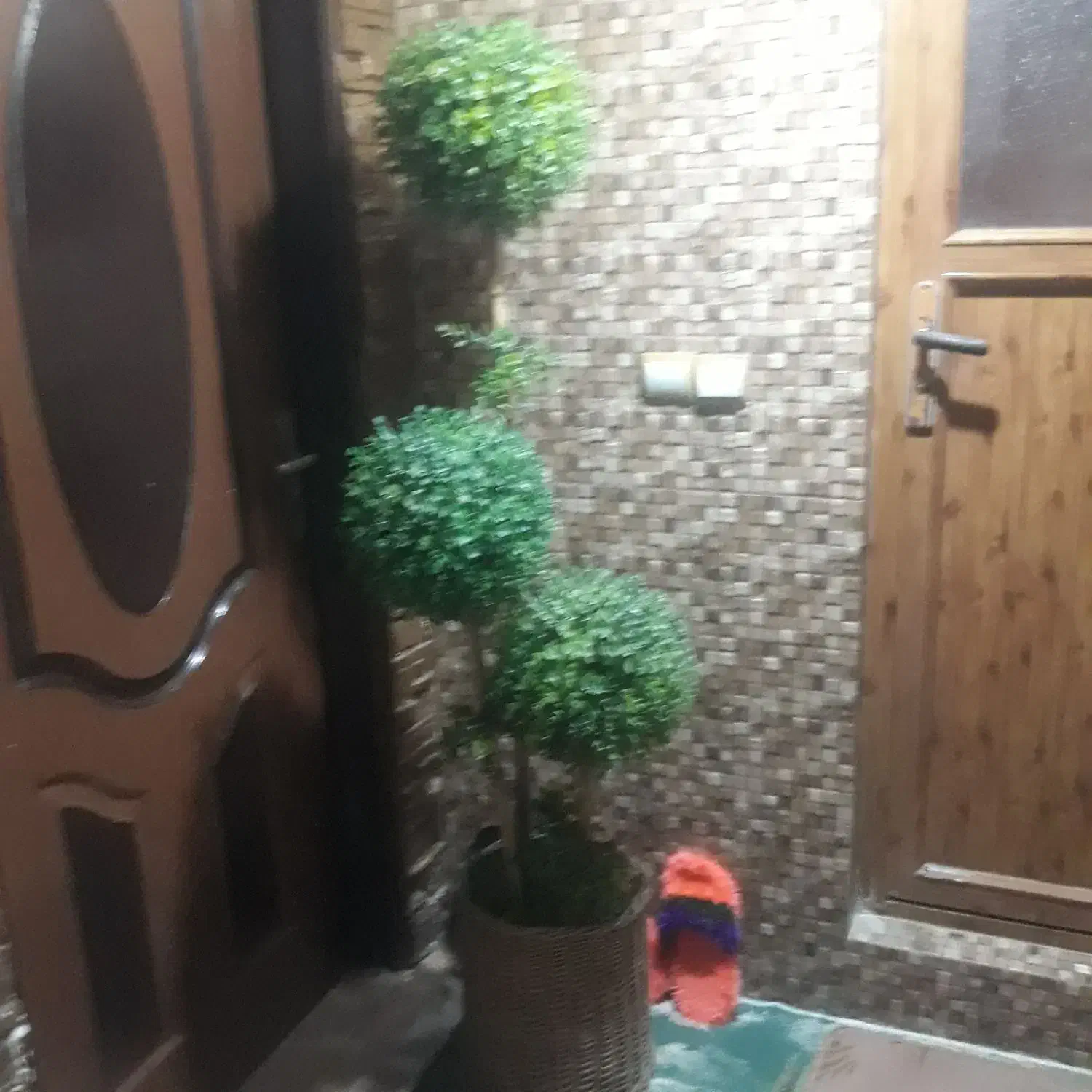 درختچه مصنوعی با گلدان حصیری|گل مصنوعی|آمل, |دیوار