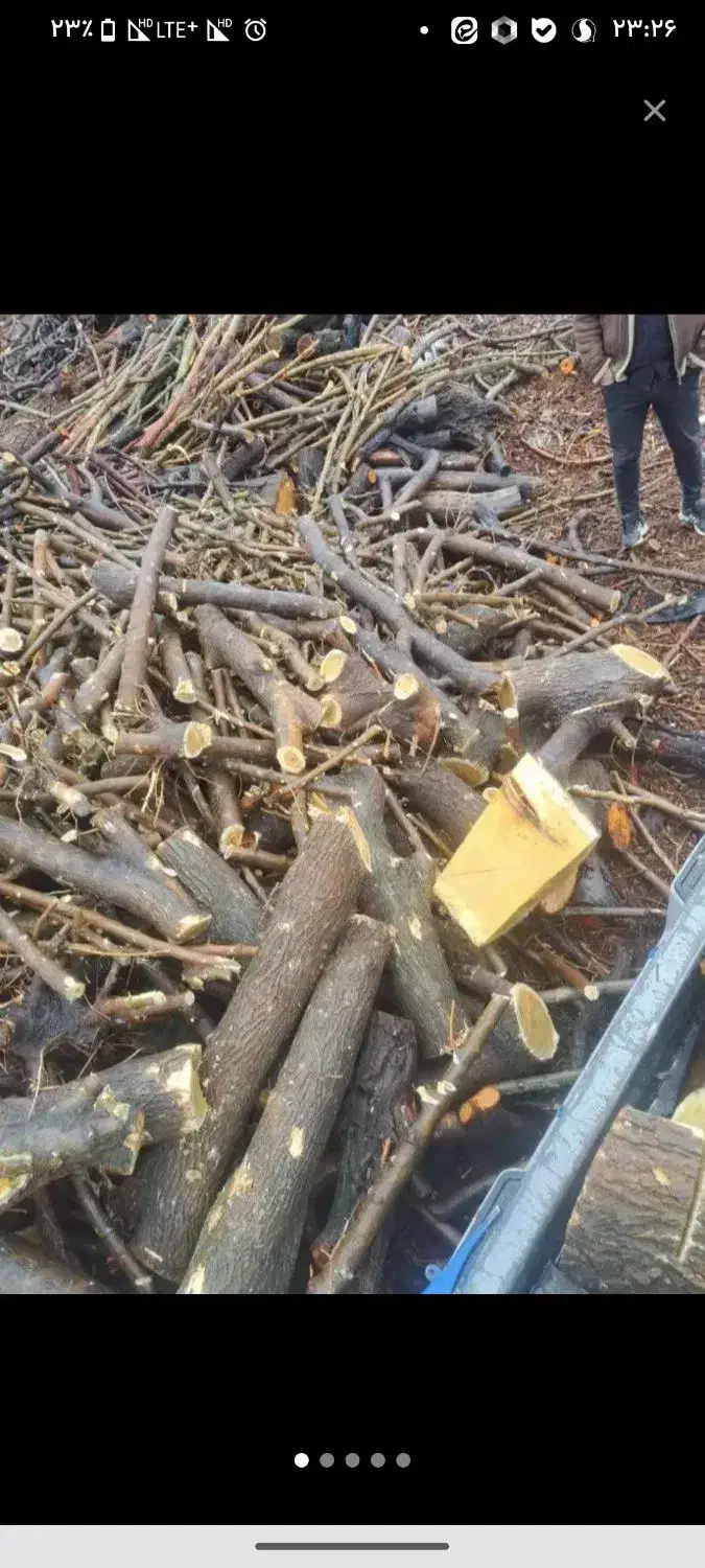 چوب|خدمات باغبانی و درختکاری|صدرا-فارس, فاز ۱|دیوار