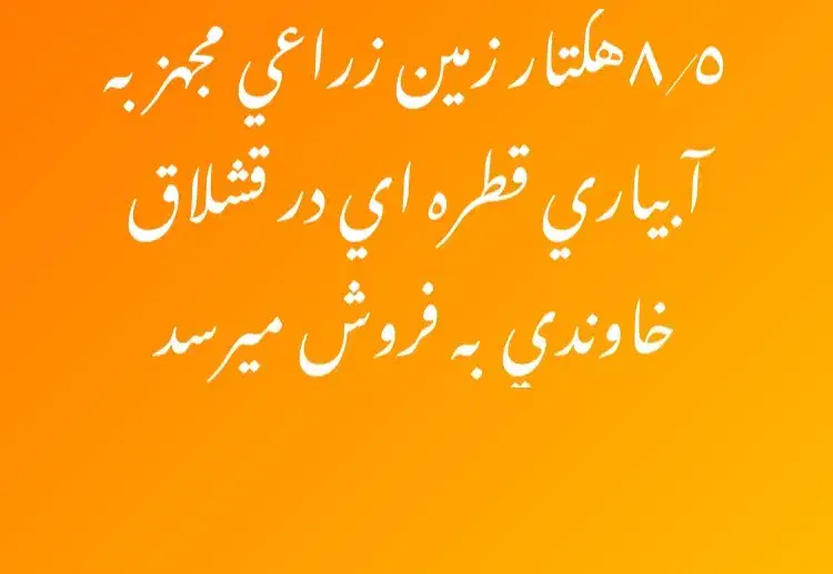 فروش زمین زراعی|فروش زمین و ملک کلنگی|قشلاق دشت, |دیوار