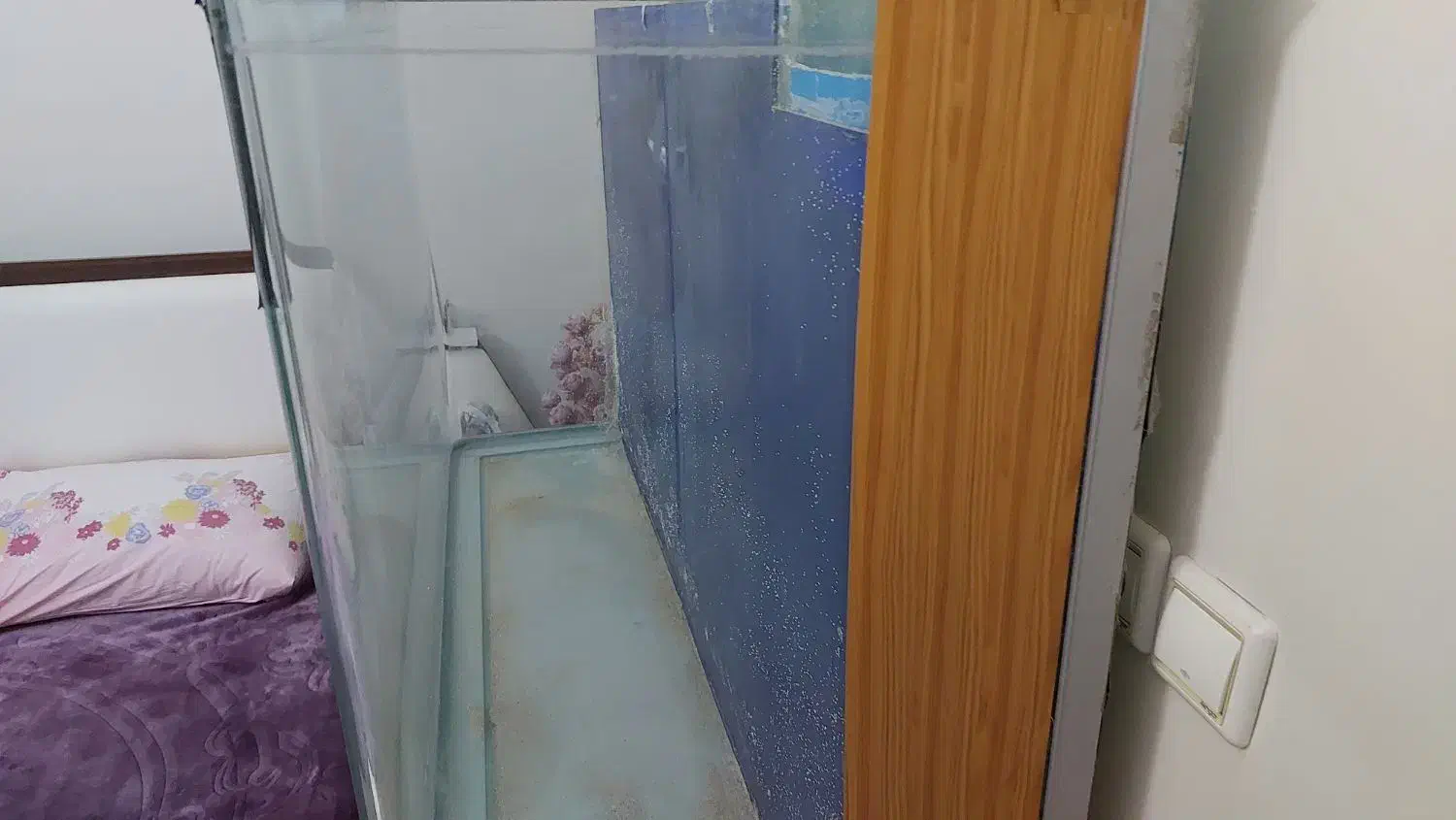 آکواریوم شیشه خم ماهیران بک سامپ|ماهی|قزوین, |دیوار