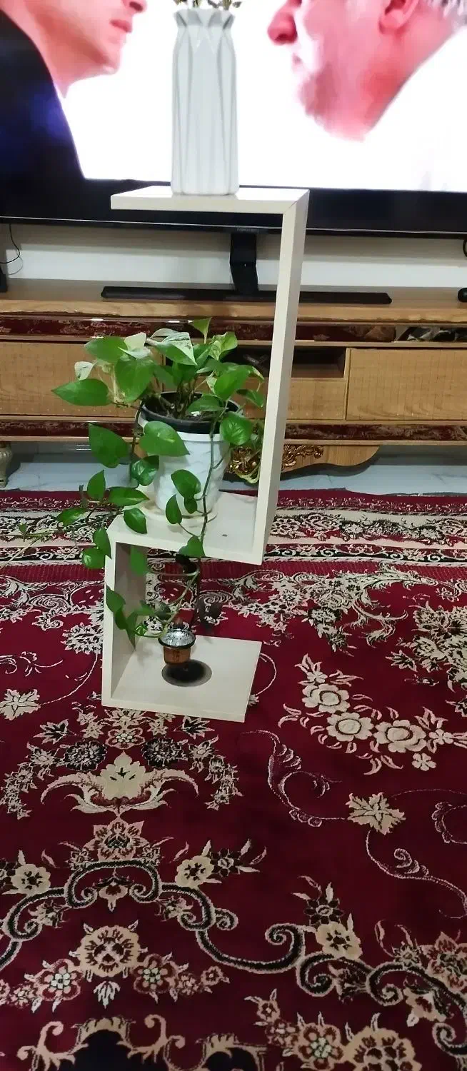 دکور خونه|کتابخانه، شلف، قفسه‌های دیواری|چالوس, |دیوار