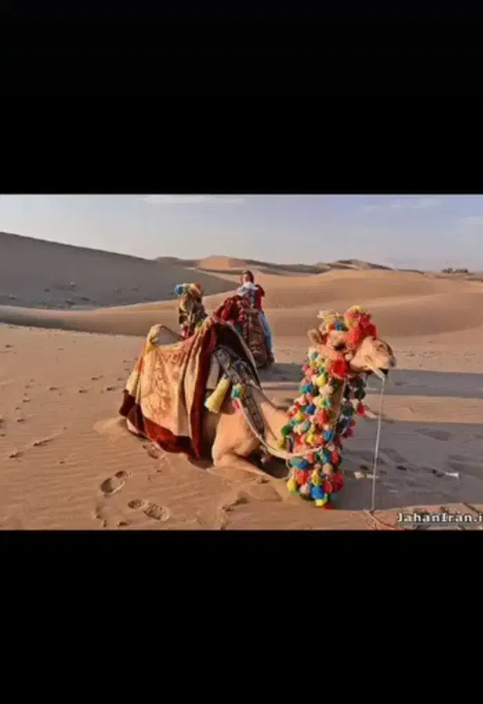 سفرکویردرشب راباماتجربه کنید|تور و چارتر|نسیمشهر, |دیوار