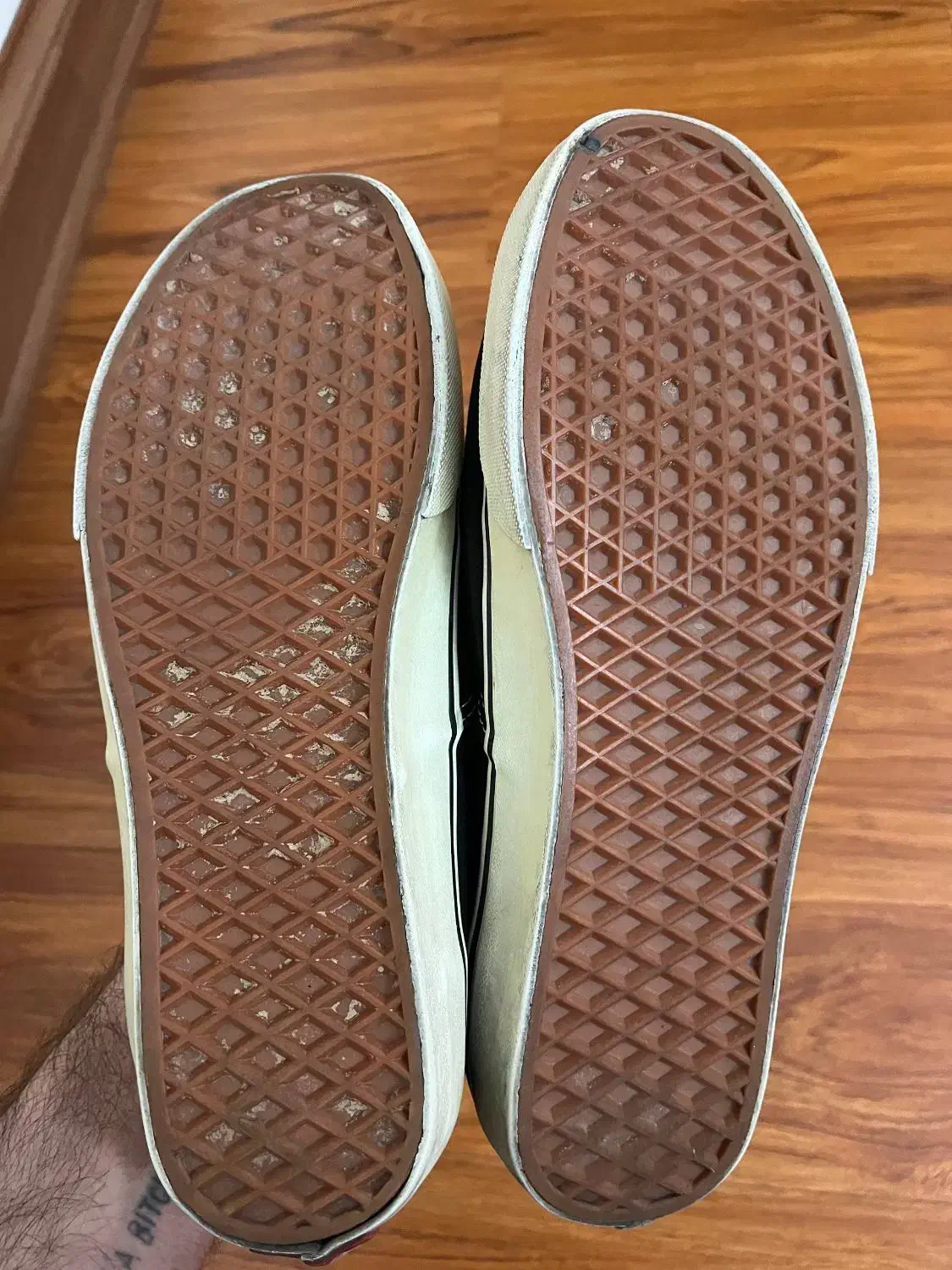 کفش کتانی آمریکایی|کیف، کفش، کمربند|سنندج, |دیوار