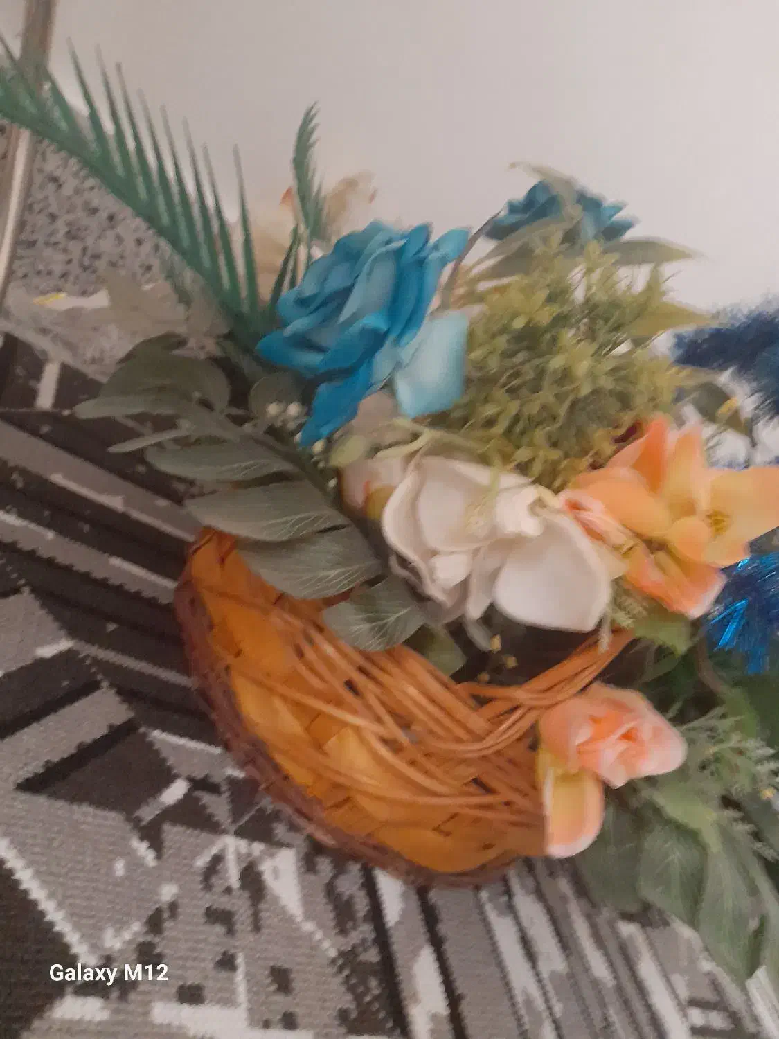 سبدگل|گل و گیاه طبیعی|شیروان (خراسان), |دیوار