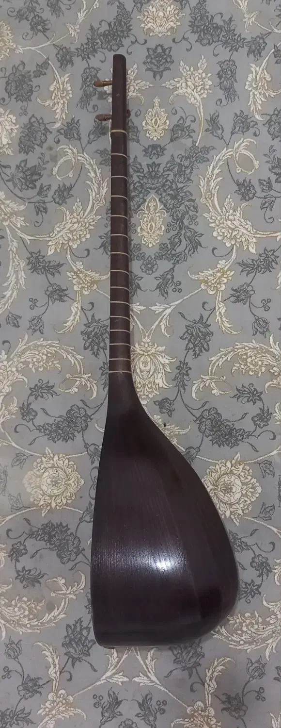 ساز تنبور|سازهای سنتی|ایلام, |دیوار