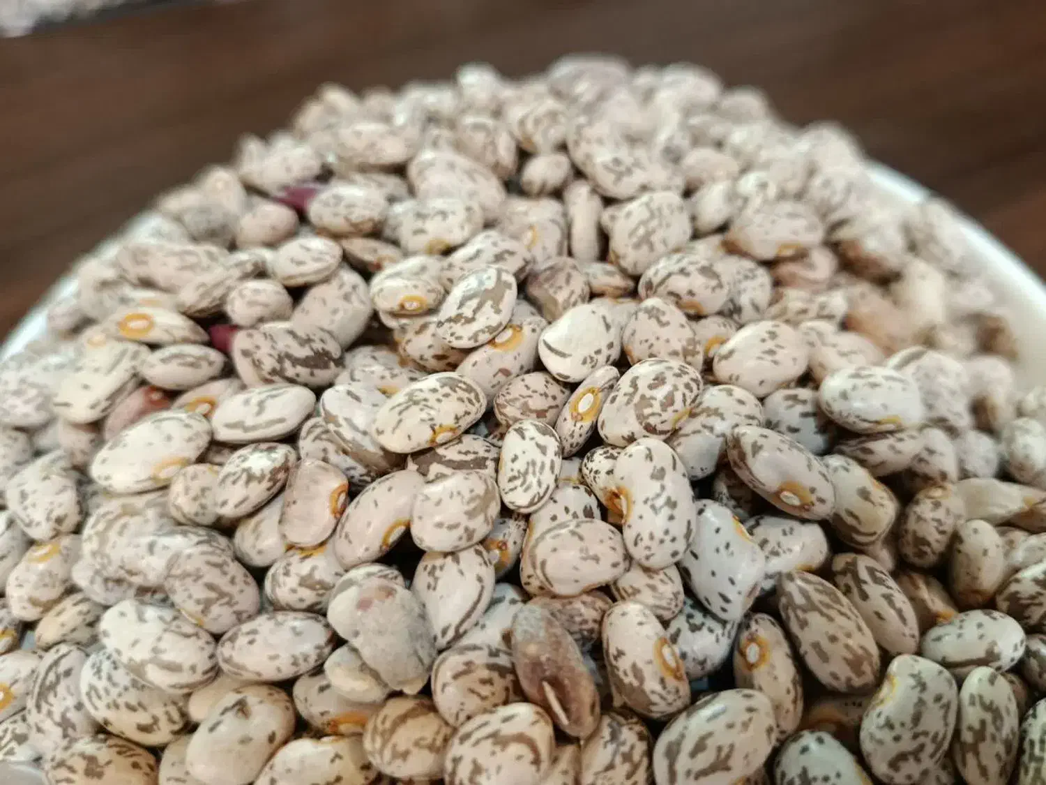 لوبیا چیتی|خوردنی و آشامیدنی|تهران, بوستان ولایت|دیوار