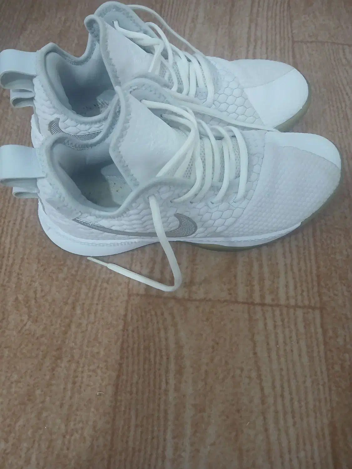 کفش.اورجینال|کیف، کفش، کمربند|سیجوال, |دیوار