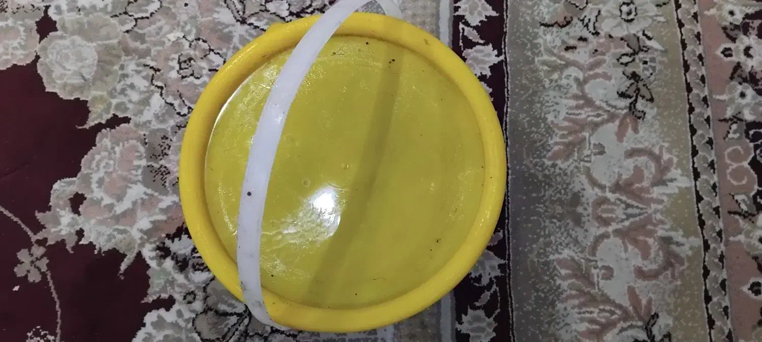 رطب درجه1|عمدهفروشی|آبادان, |دیوار