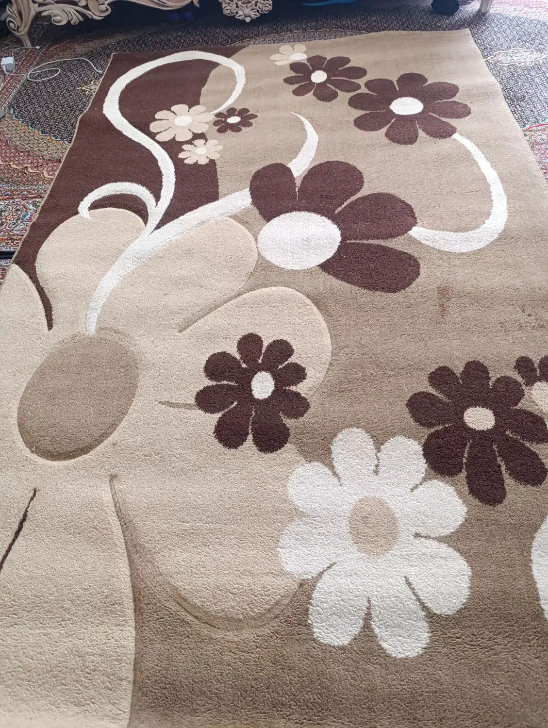 یک عدد فرش|فرش|سهند, |دیوار