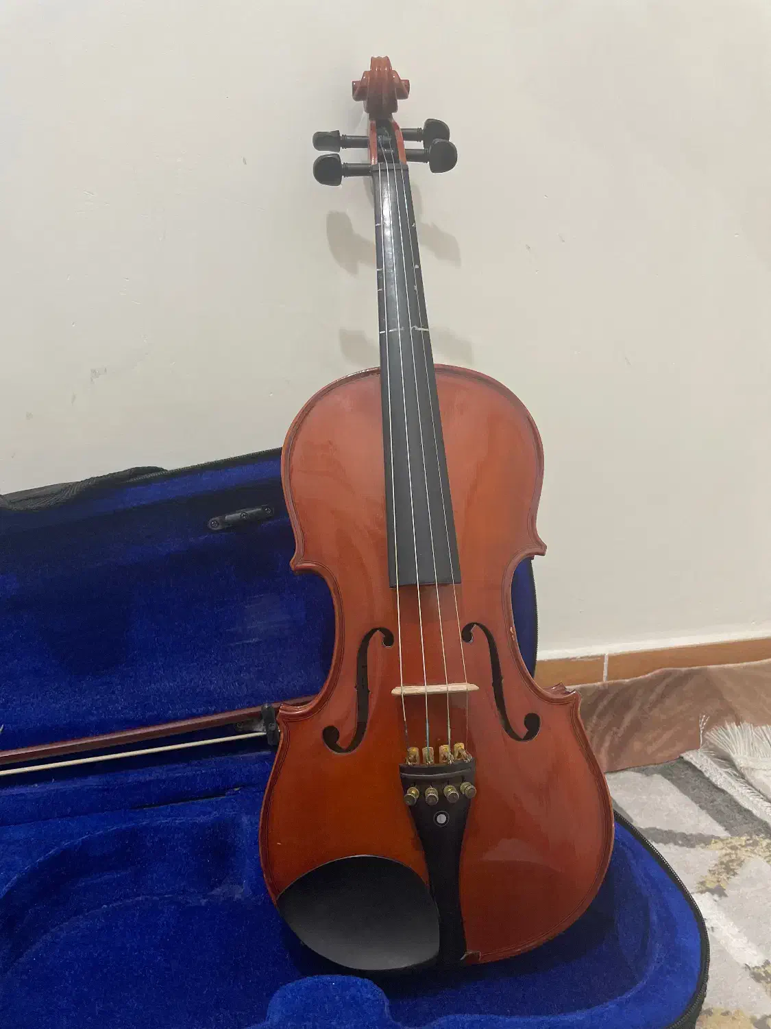 ویولن 4/4 فونیکس|ویولن|رشت, حافظ آباد|دیوار