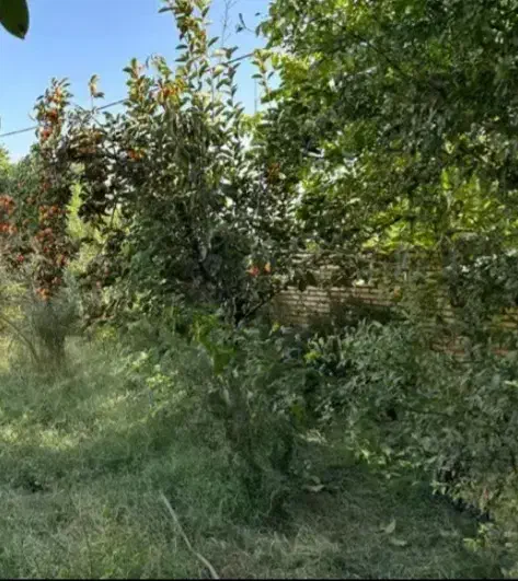 زمین مسکونی مزرعه کتول|فروش زمین و ملک کلنگی|مزرعه کتول, |دیوار