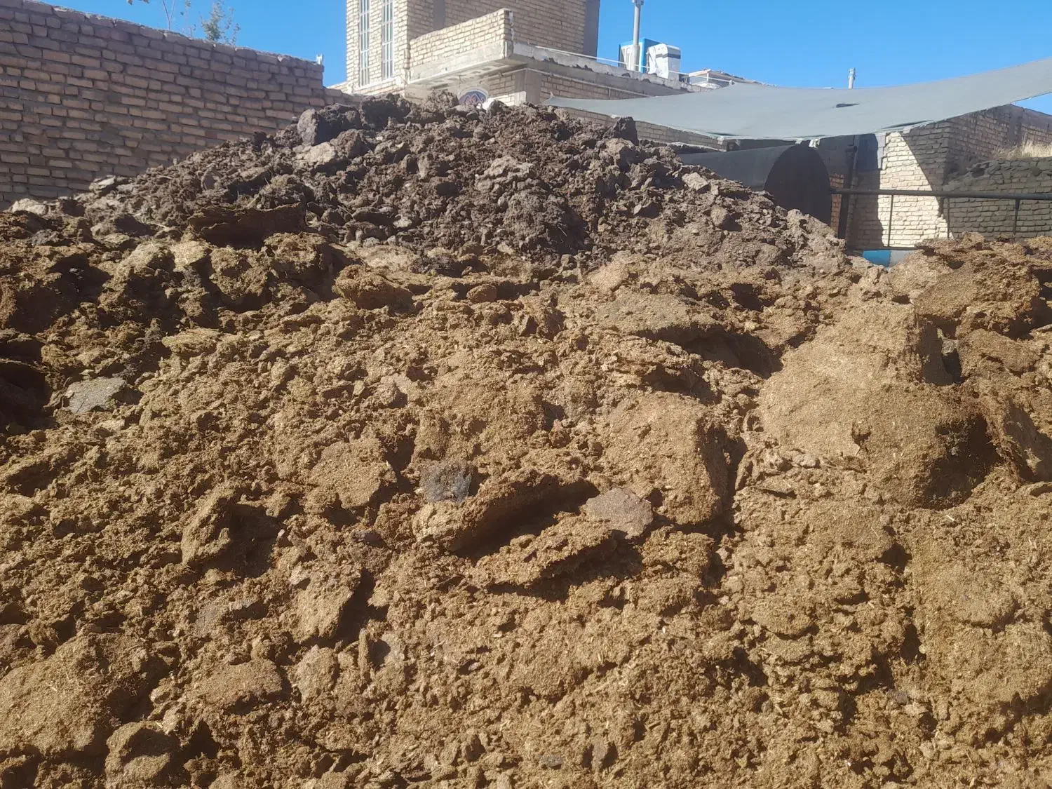 کود گاوی|لوازم جانبی حیوانات|درودزن, |دیوار