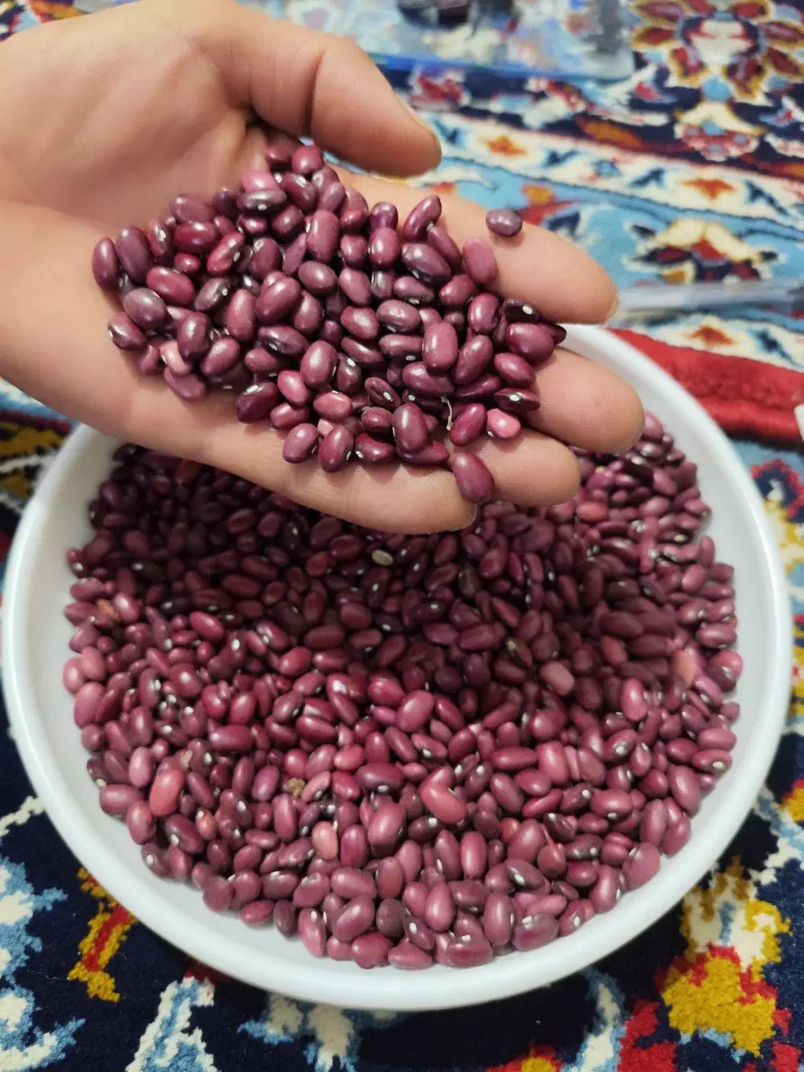 لوبیا قرمز درجه 1|خوردنی و آشامیدنی|روانسر, |دیوار