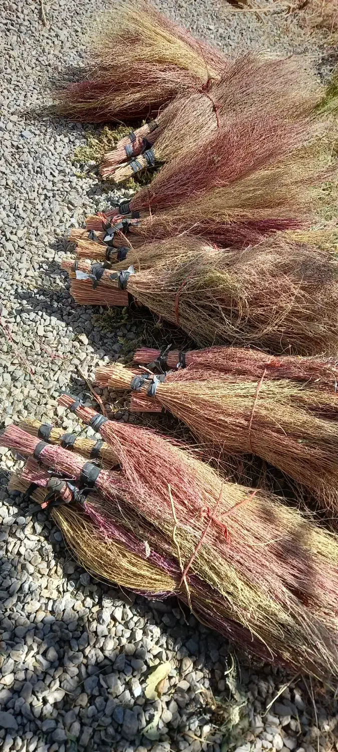 جارو|جاروبرقی، جارو شارژی، بخارشو|بیرانوند, |دیوار