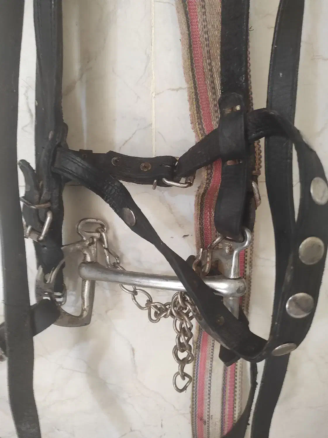 دهنه اسب زیبا وچرم مرغوب|اسب و تجهیزات اسبسواری|قزوین, |دیوار