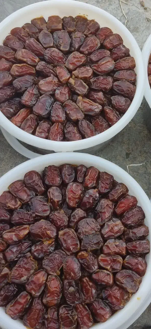 خرما|خوردنی و آشامیدنی|اندیمشک, |دیوار