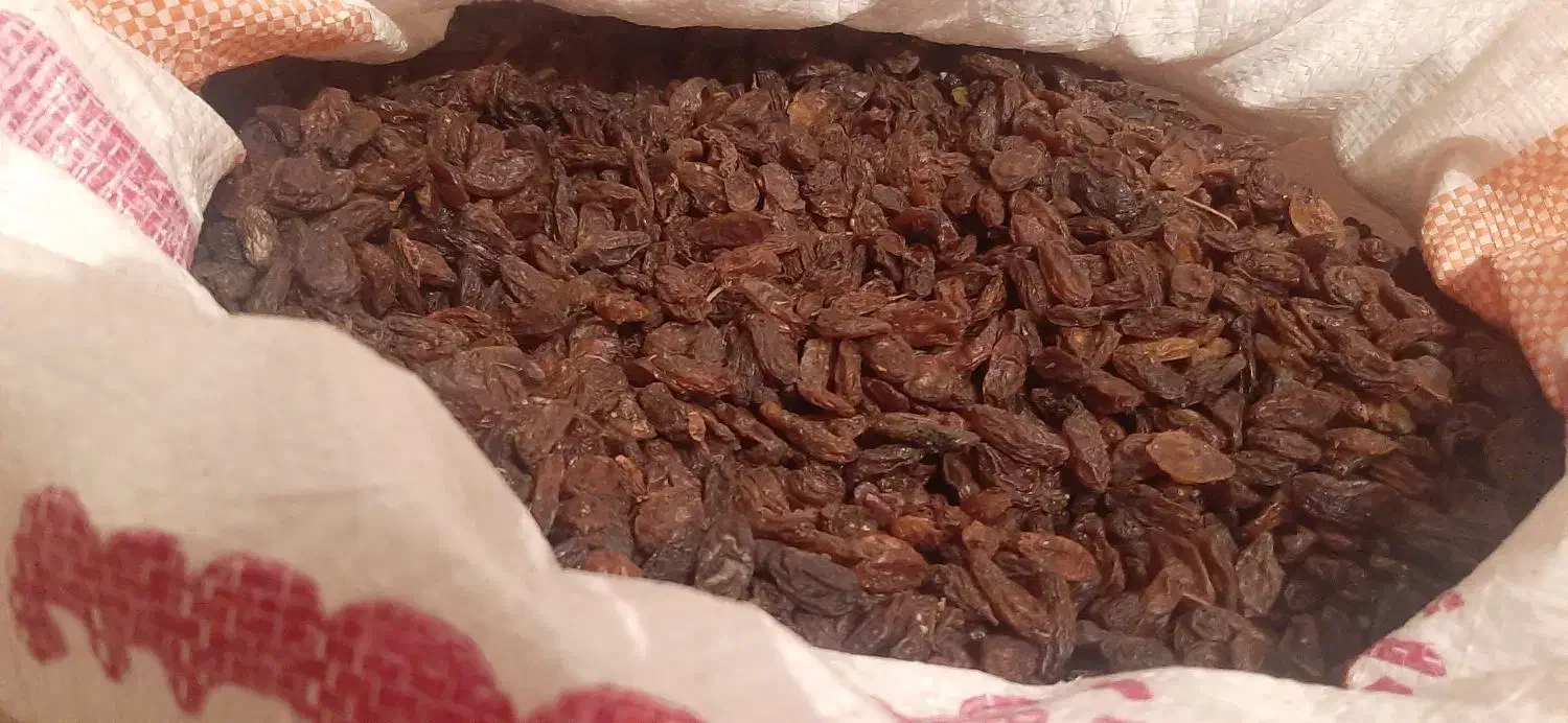 کشمش امسالی گوشتی|خوردنی و آشامیدنی|قم, شاه ابراهیم|دیوار