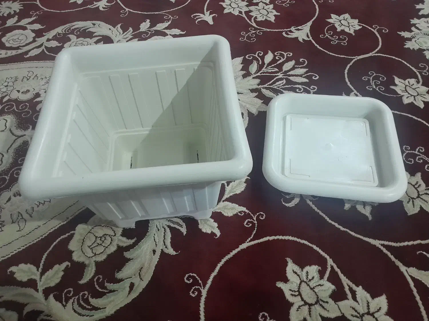 گ.ل.د.ا.ن|گل و گیاه طبیعی|نیشابور, سرآب کوشک|دیوار