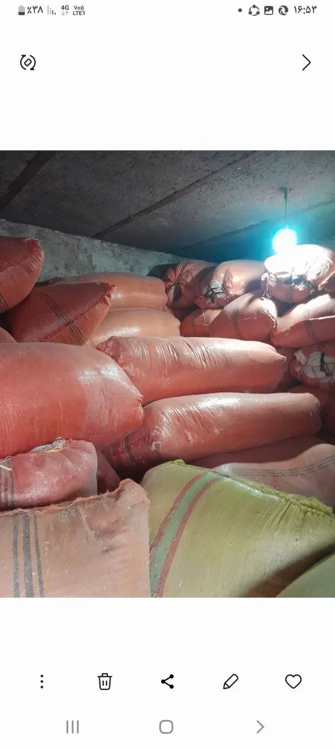 کاه درجه ۱|لوازم جانبی حیوانات|لالی, |دیوار