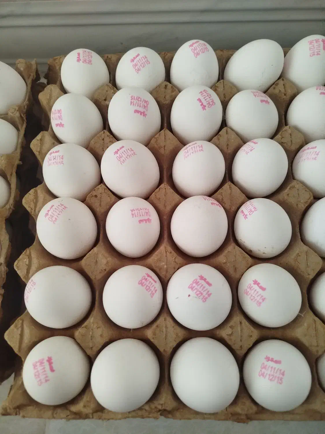 تخم مرغ|خوردنی و آشامیدنی|کرمانشاه, |دیوار