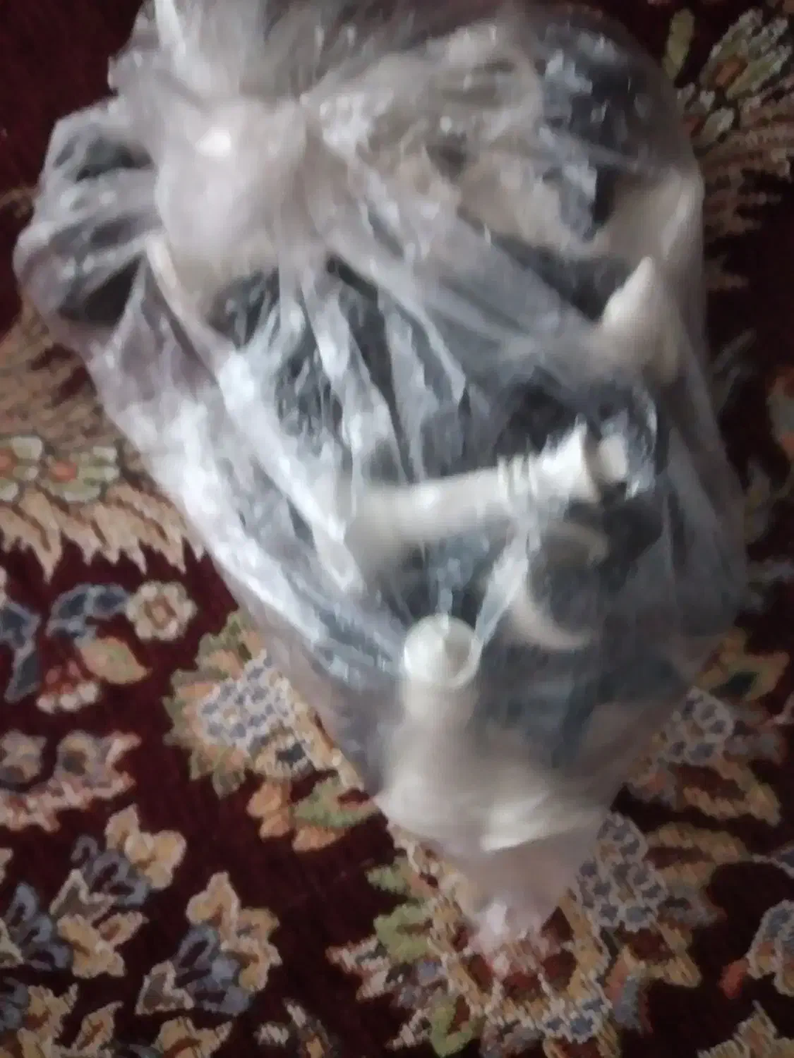 شطرنج سالم و نو|کلکسیون اشیاء عتیقه|بندرعباس, |دیوار