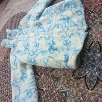 کاپشن تدی|لباس|اردبیل, |دیوار