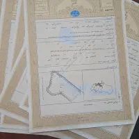 زمین-گلبهار-250سهم-دارای-سندمالکیت-اماده-تعدادبالا