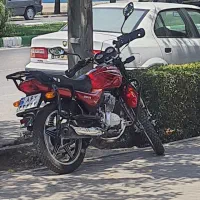 احسان شکاری 200 404