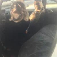 رانا پلاس مدل ۱۴۰۱|خودرو سواری و وانت|خرمآباد, |دیوار