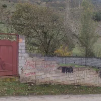 زمین 258 متری در وازک رویان(قابل معاوضه با خودرو)