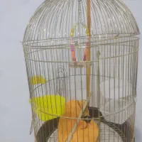 سه عدد لوستر سقفی|لوستر و چراغ آویز|خرم‌آباد, |دیوار