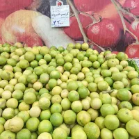 کارگر ساده آبمیوه بستنی