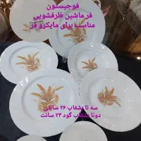 چینی پذیرایی و عتیقه سوپنیک|ظروف سرو و پذیرایی|تهران, شهرک دانشگاه|دیوار