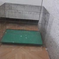 قفس پرنده
