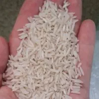 عمده فروشی برنج|خوردنی و آشامیدنی|سرخنکلاته, |دیوار