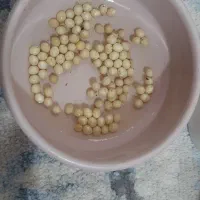 تخم حلزون
