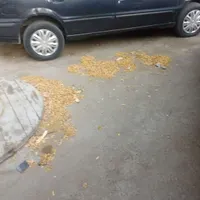 سمند SE، مدل ۱۳۸۹|خودرو سواری و وانت|بندرعباس, |دیوار