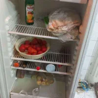 یخچال ارج