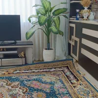 گل دیفن باخیا
