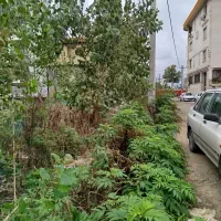 زمین-مسکونی-در-خیابان-نظام-مهمندسی