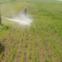 داروخانه گیاهپزشکی خرمشهر