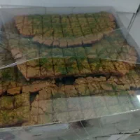 پخش عمده سوهان