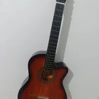 گیتار با کیف خود گیتار|گیتار، بیس، امپلیفایر|ملایر, |دیوار