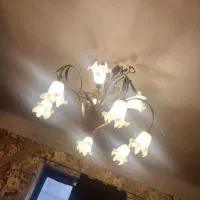 دوجفت لوستر گل لاله|لوستر و چراغ آویز|تهران, انبار نفت|دیوار