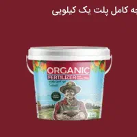 افزایش تناژ پسته