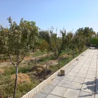 ۱۵۶۰ متر باغ ویلا شهرکی مناسب سرمایه گذاری|فروش زمین و ملک کلنگی|محمدشهر, محمدشهر|دیوار