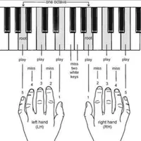 آموزش ارگ پیانوبلز و آواز آنلاین وحضوری|خدمات آموزشی|شیراز, درکی|دیوار