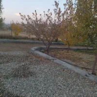 1302متر باغ و زمین سند دار داخل شهر دیواندره|فروش زمین و ملک کلنگی|دیواندره, |دیوار